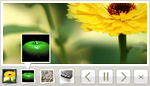 XML Image Gallery Photo Gallery XML Image Gallery Photo Gallery