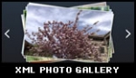 xml photo gallery image gallery xml photo gallery image gallery