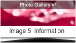 Photo Gallery Photo Gallery