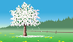 tree spring tree spring