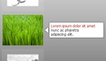 Advanced Images Slider Vertical
