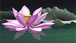 Lotus flower Lotus flower