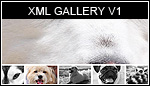 XML Gallery V1.0 XML Gallery V1.0
