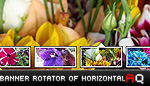Banner Rotator of Horizontal Banner Rotator of Horizontal