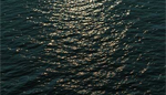 Aerial Ocean View Flash 