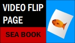 Video page flip
