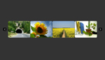 XML Fullscreen Gallery with HTML Description and CSS