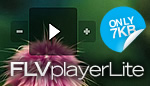 FLV player Lite