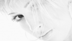 XML Template Photography with color theme XML Template Photography with color theme