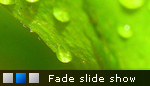 Fade in - Fade out Slideshow