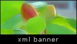 xml banner rotator slideshow gallery v1 xml banner rotator slideshow gallery v1