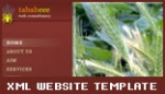 xml business template xml website v3 xml business template xml website v3