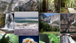XML Mosaic Gallery