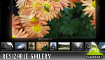 Amphasia Horizontal Resizable Gallery Amphasia Horizontal Resizable Gallery